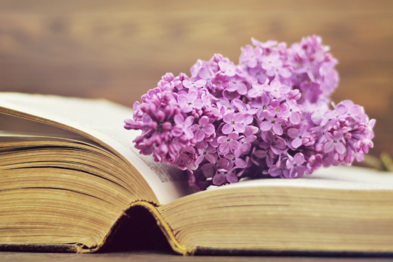 Biblioterapia