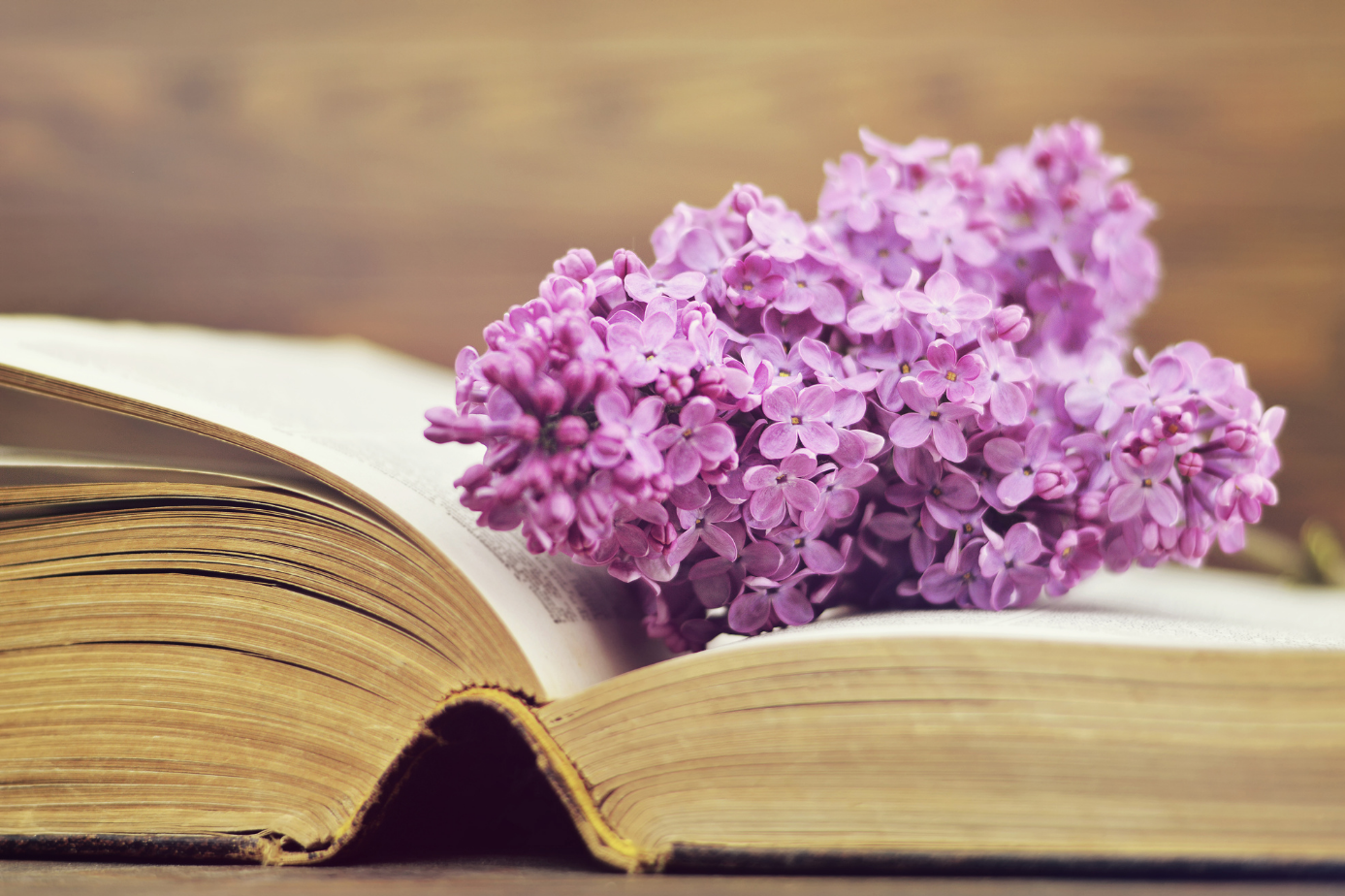 Jeśli czujesz, że potrzebujesz chwili dla siebie, przestrzeni do refleksji i wsparcia w procesie zmian, biblioterapia może być dla Ciebie idealnym rozwiązaniem...